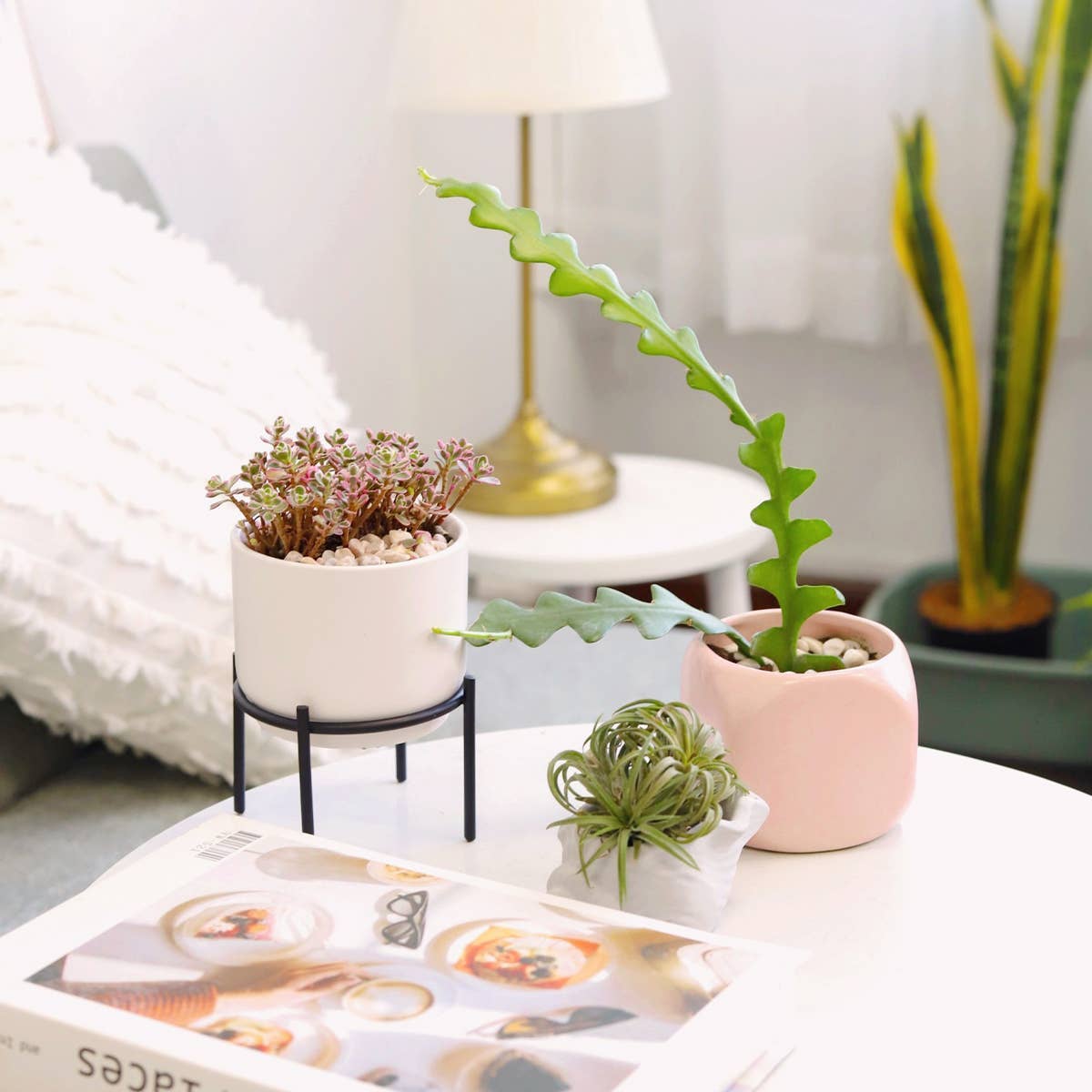 4" Solid White Ceramic Planter with Black Metal Stand