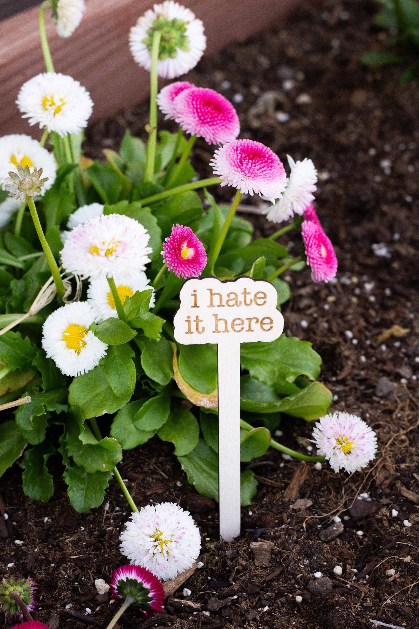 The Tortured Plants Department Plant Markers