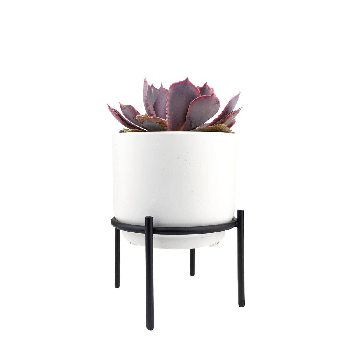 4" Solid White Ceramic Planter with Black Metal Stand