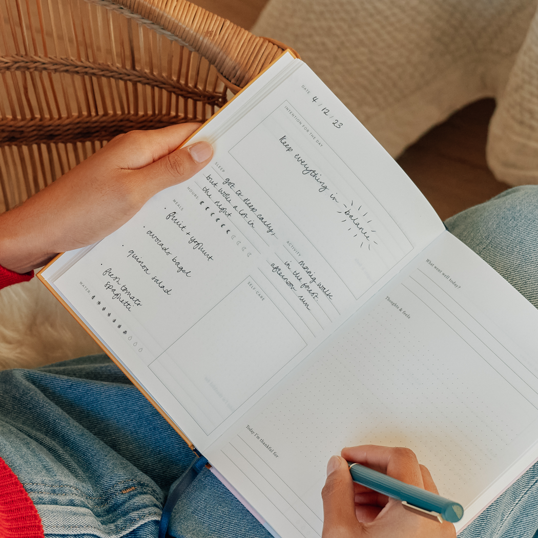Guided Wellness Journal, Foiled, A5 Hardcover - Fairy Flies