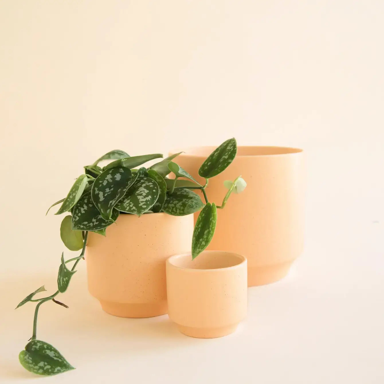 Parker Pot | Sunset Speckle 3"