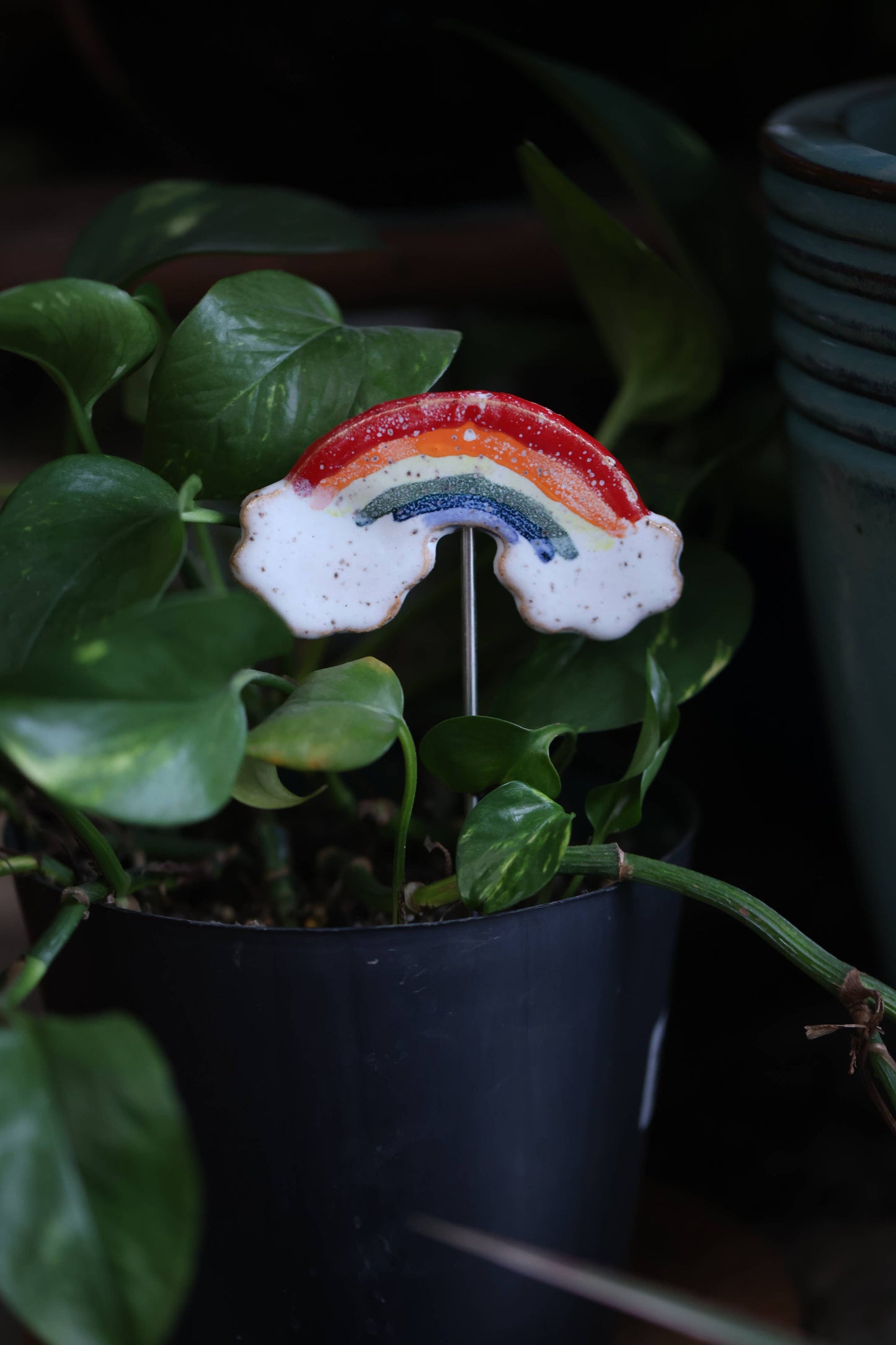 Plant Buddies - Rainbow