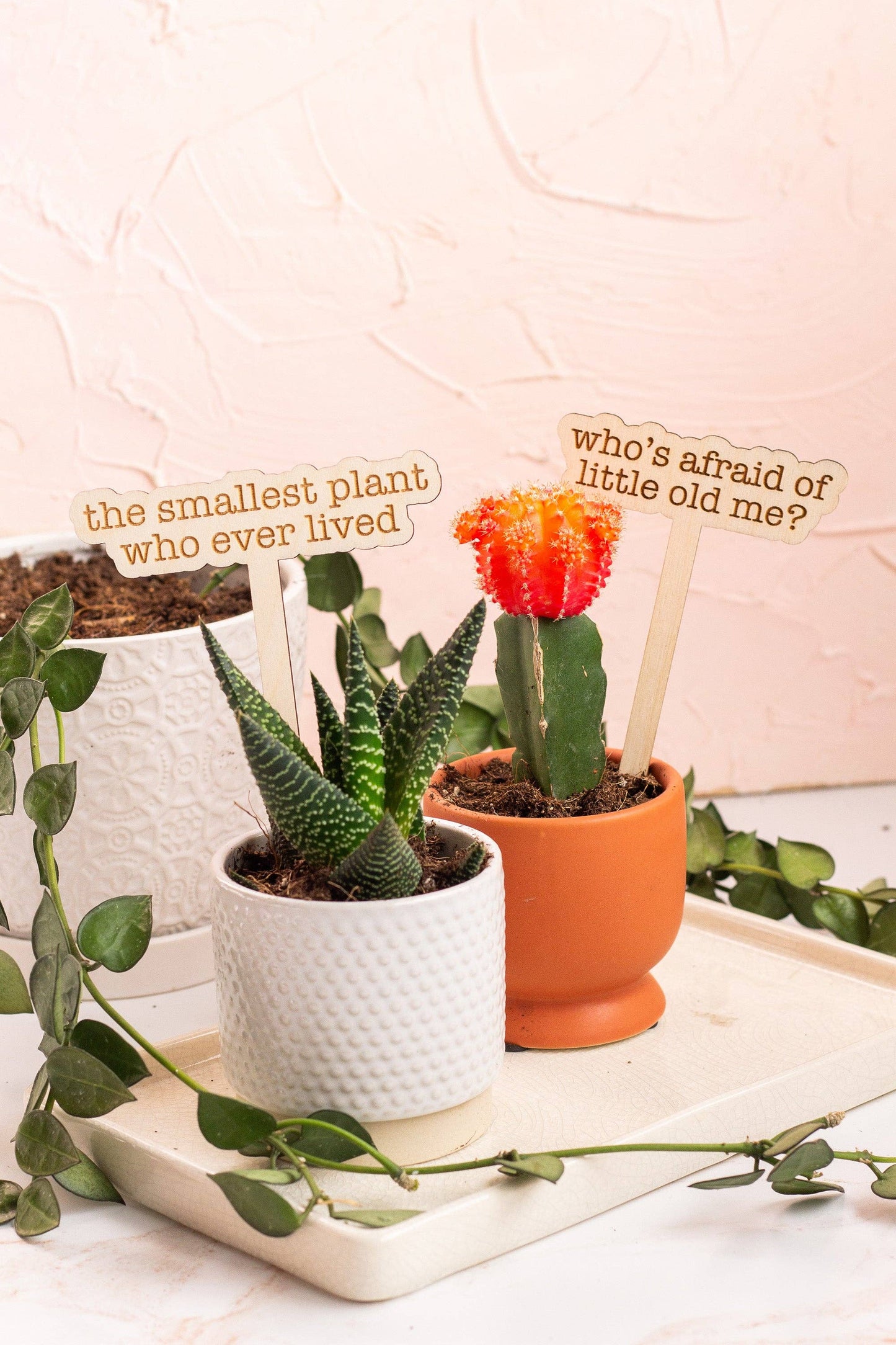 The Tortured Plants Department Plant Markers