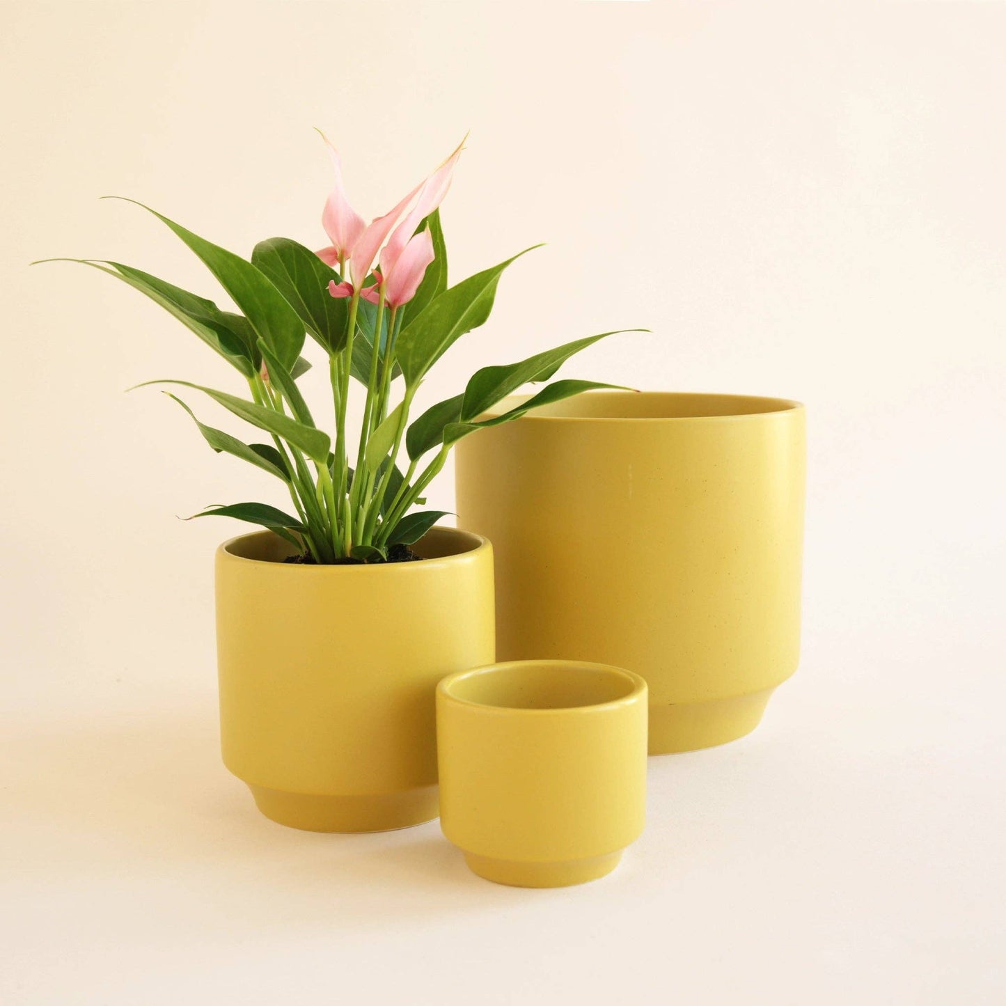 Parker Pot | Palm Speckle