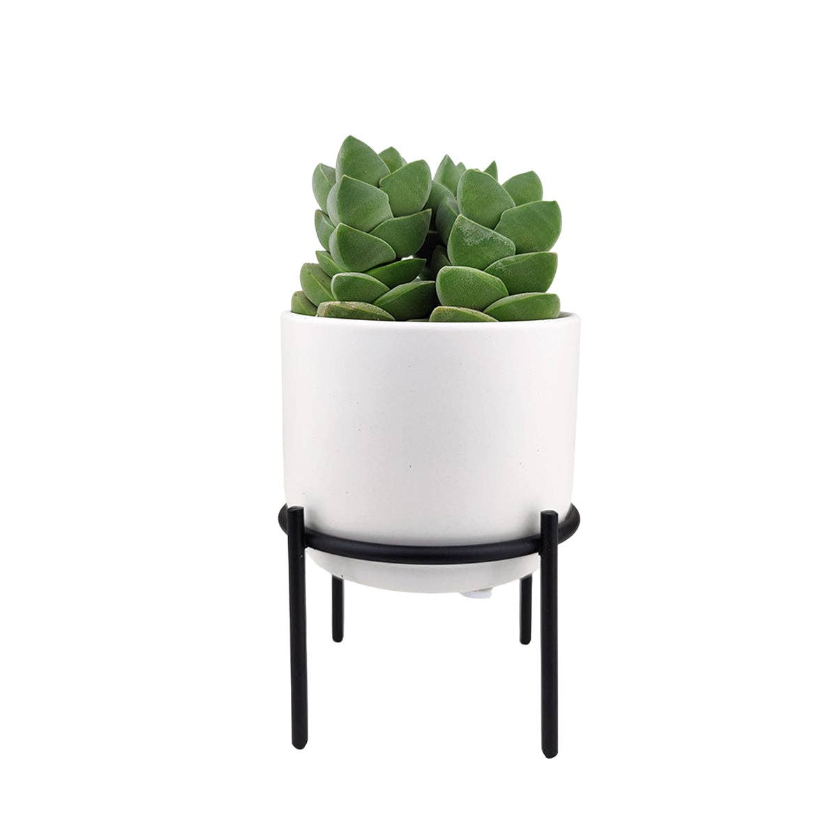 4" Solid White Ceramic Planter with Black Metal Stand