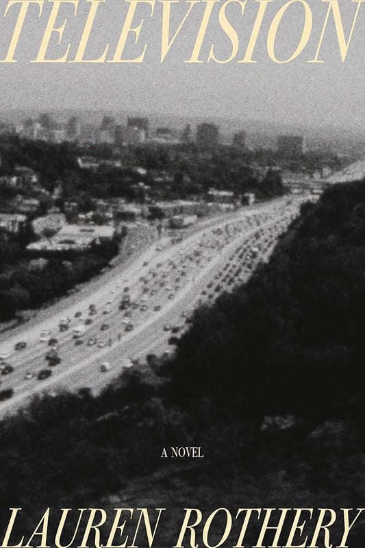 Television: A Novel cover image