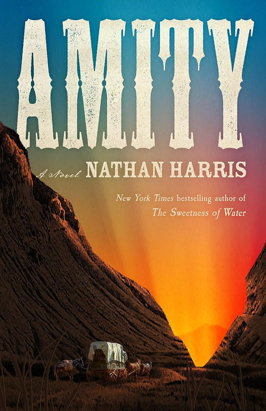 Amity: A Novel cover image
