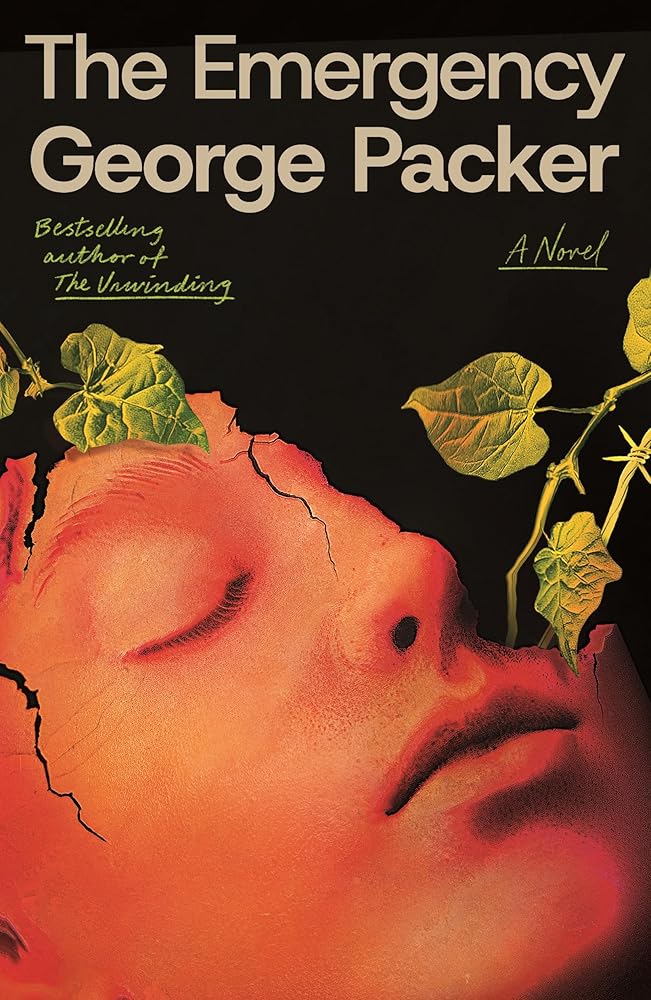 The Emergency: A Novel cover image