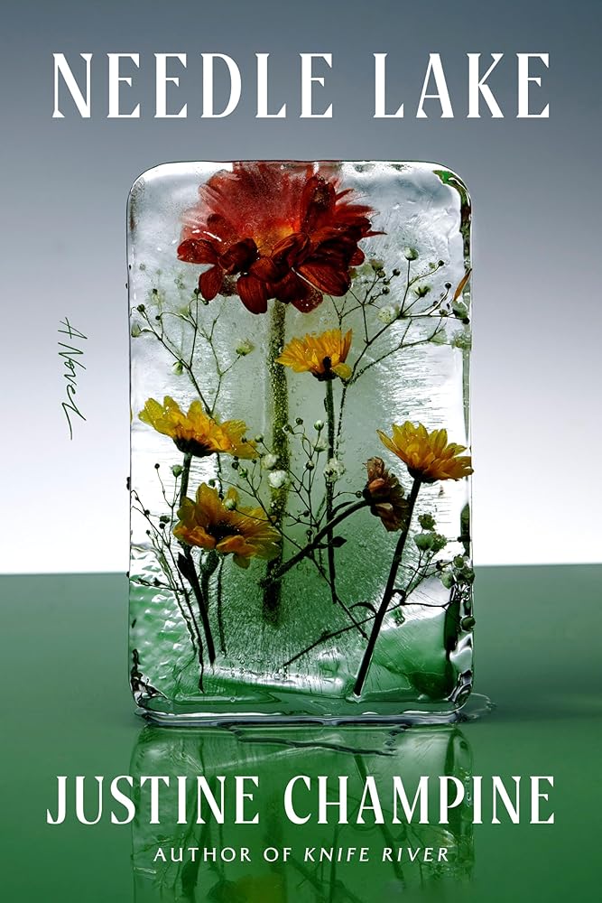 Needle Lake: A Novel cover image