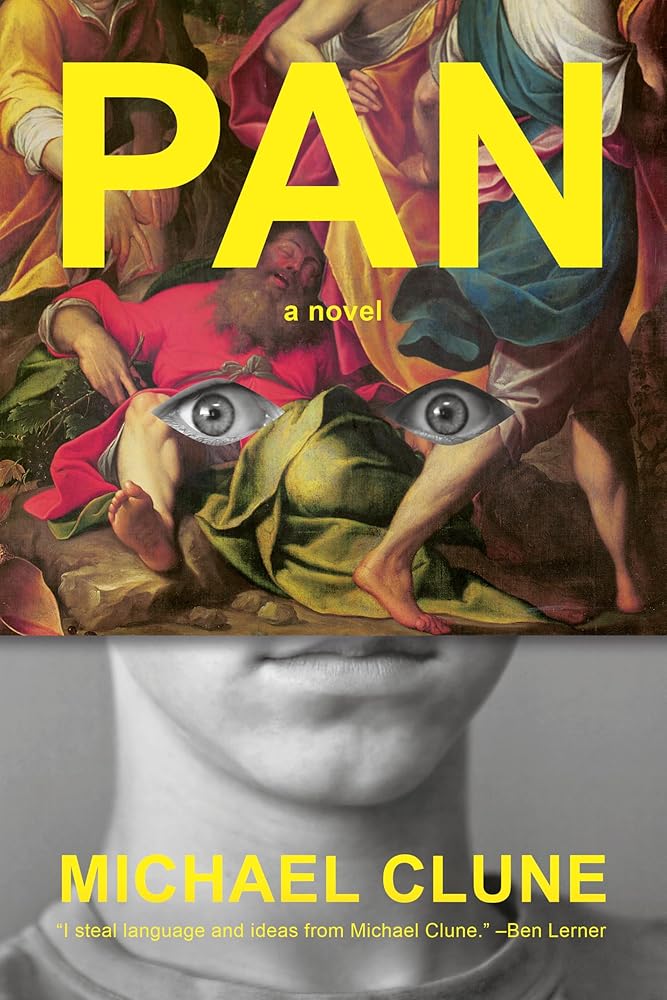 Pan: A Novel cover image