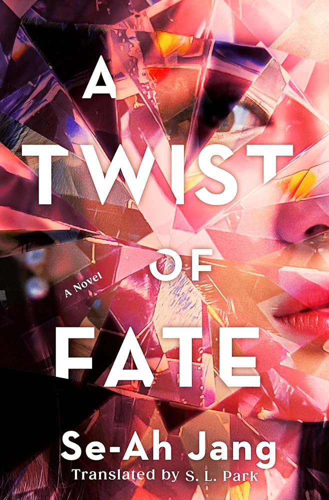 A Twist of Fate: A Novel cover image