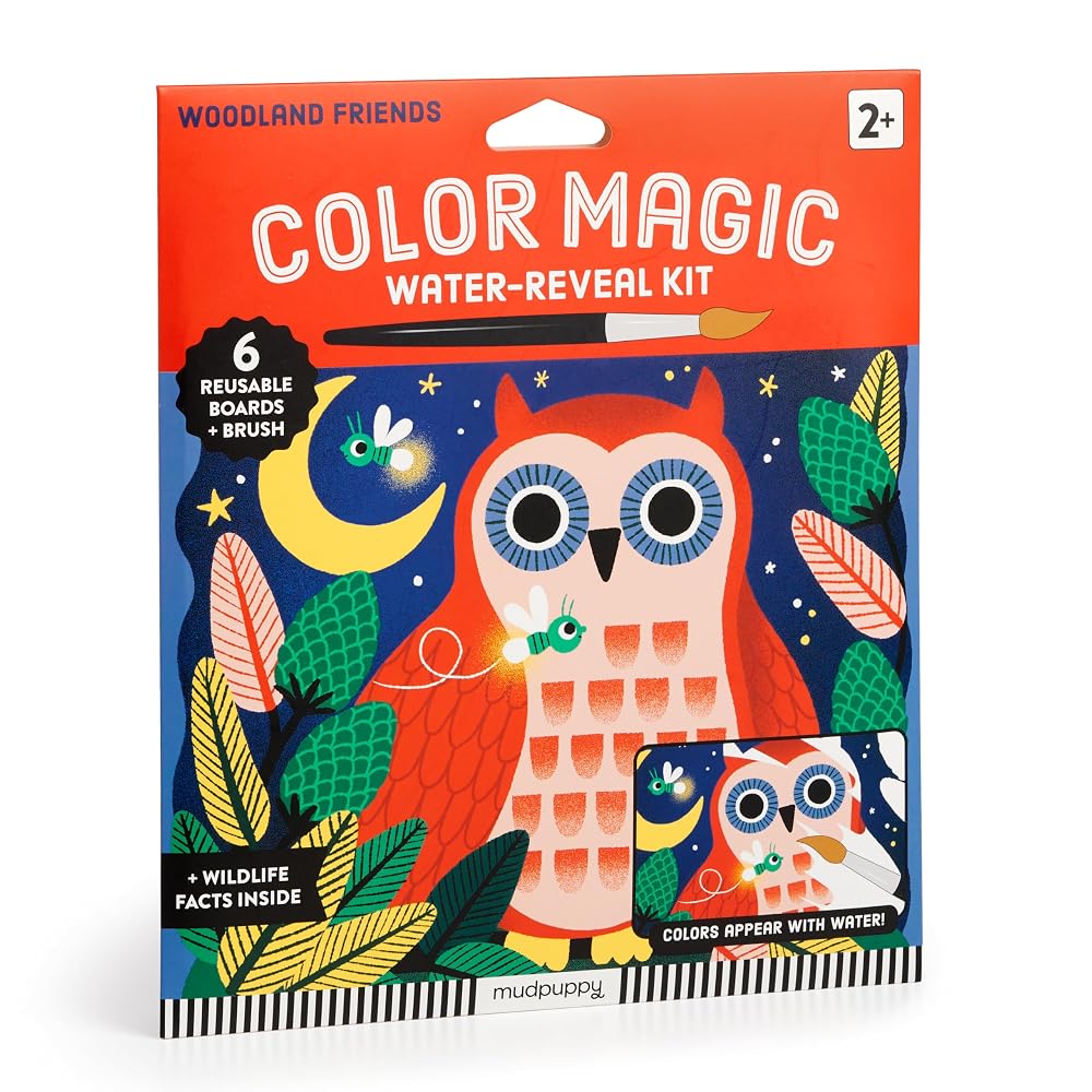 Woodland Friends Color Magic Water-Reveal Kit cover image