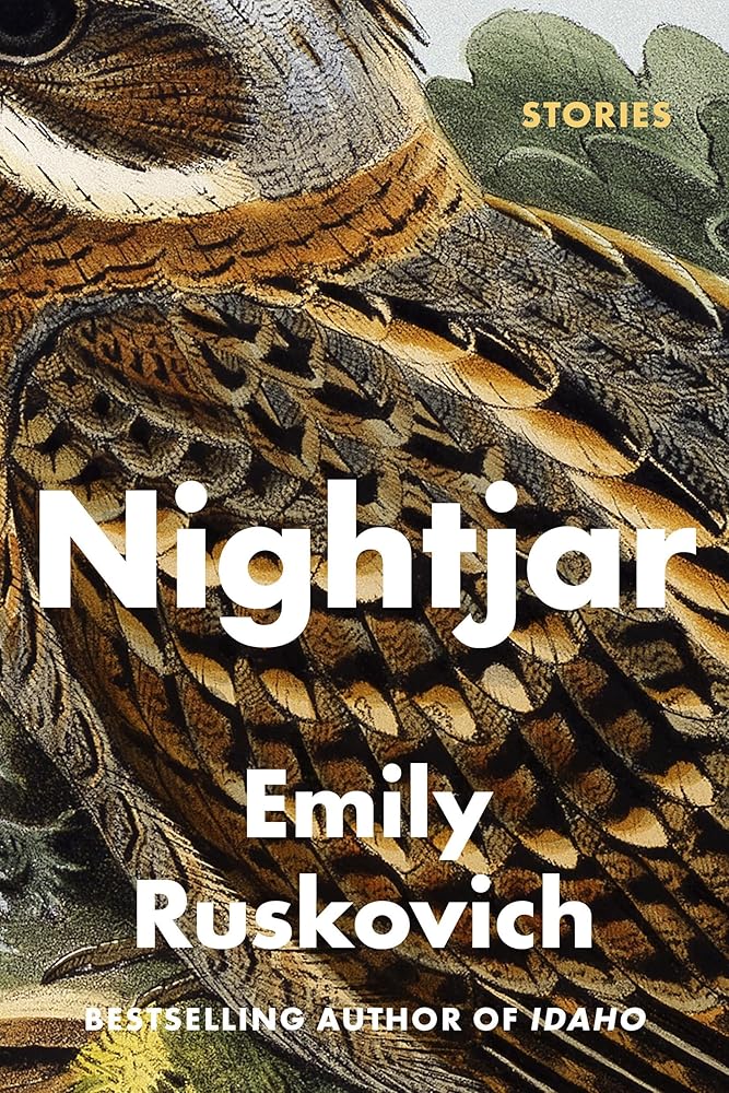 Nightjar: Stories cover image