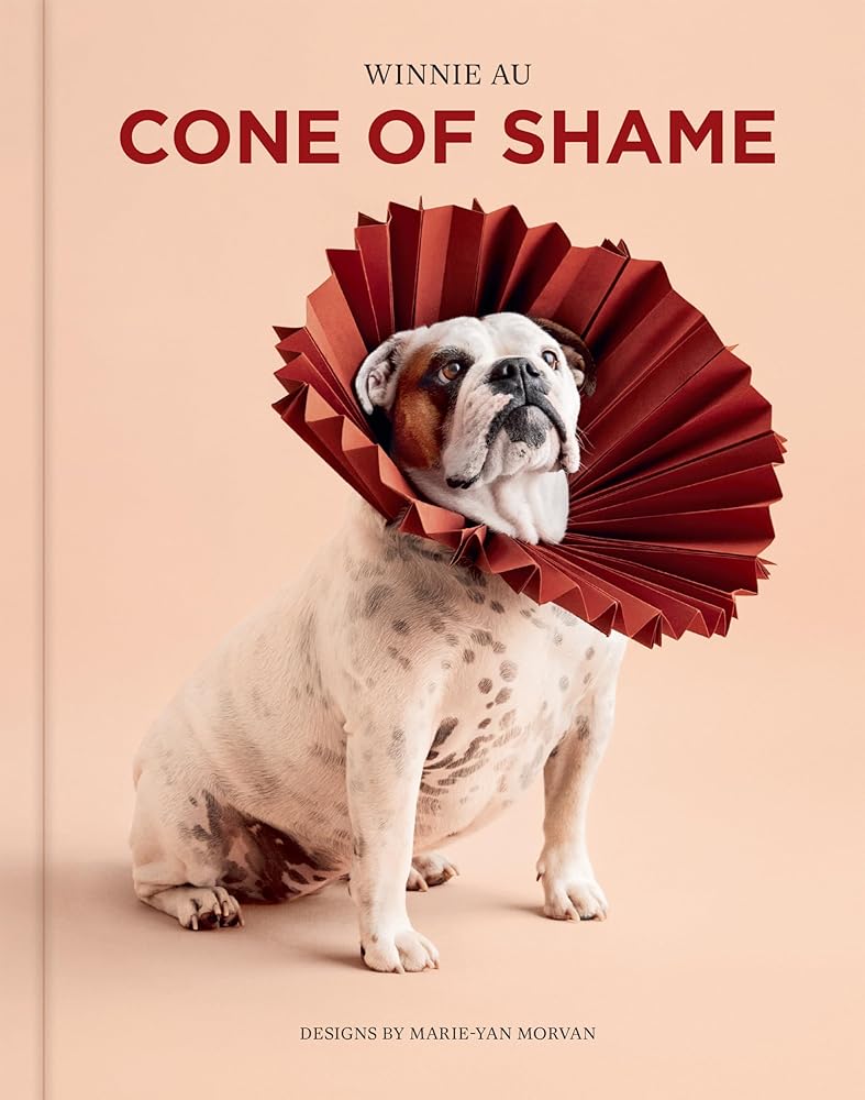 Cone of Shame cover image