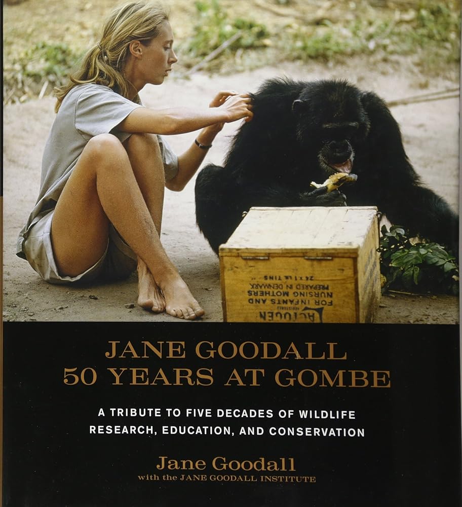 Jane Goodall: 50 Years at Gombe: A Tribute to Five Decades of Wildlife Research, Education, and Conservation cover image