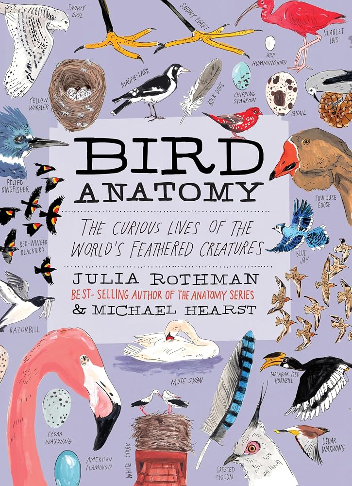 Bird Anatomy: The Curious Lives of the World's Feathered Creatures cover image