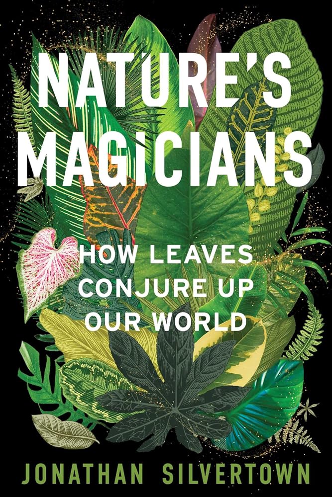Nature's Magicians: How Leaves Conjure Up Our World cover image