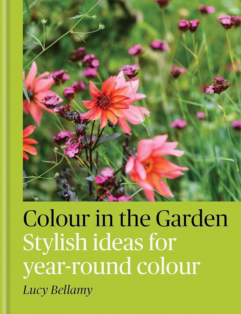 Colour in the Garden: Stylish ideas for year-round colour cover image