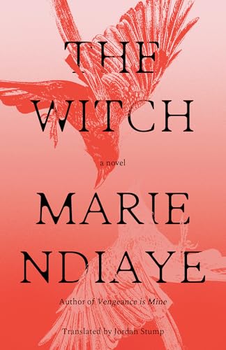 The Witch cover image
