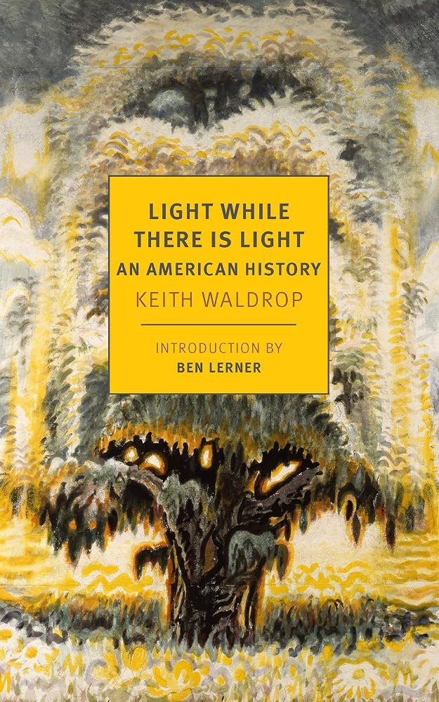 Light While There is Light: An American History cover image