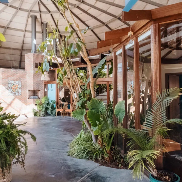 Plant Class @ the Dome House - September 25th