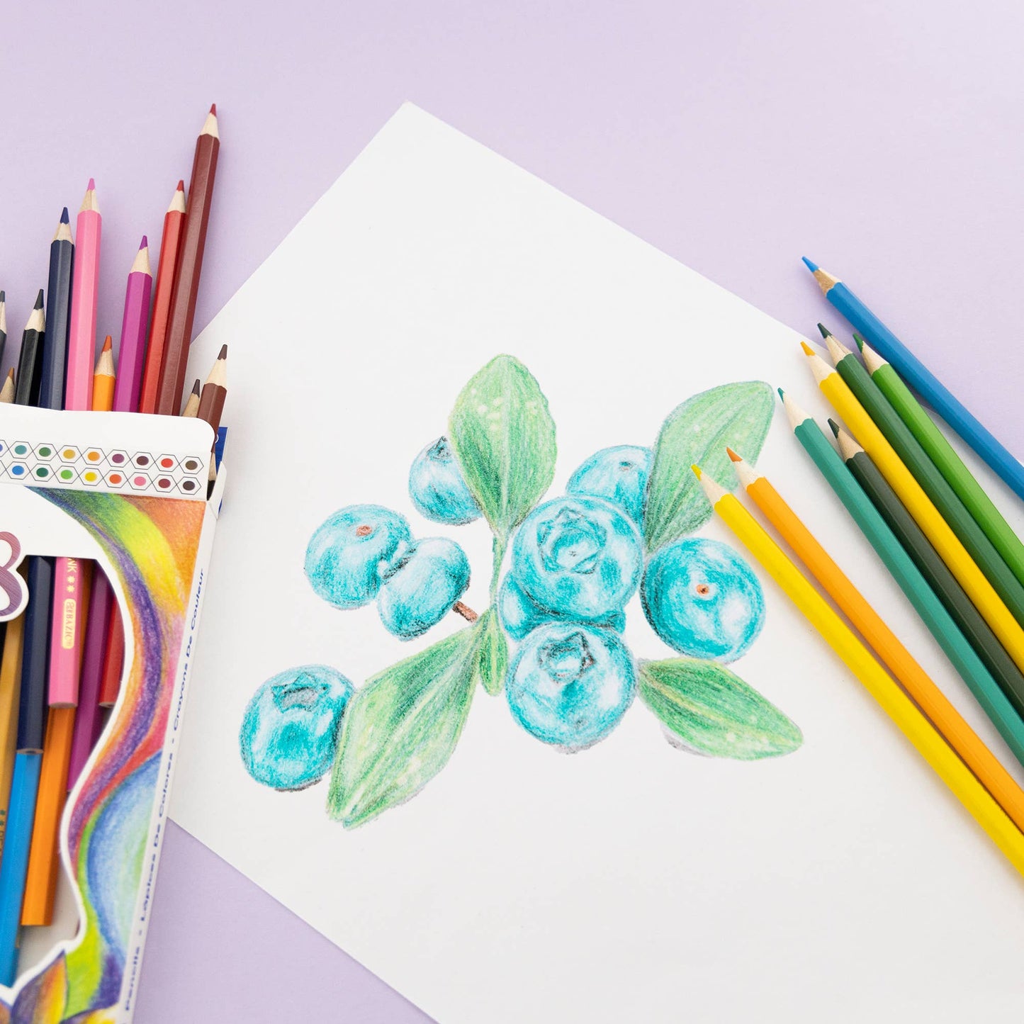 24 Colored Pencils