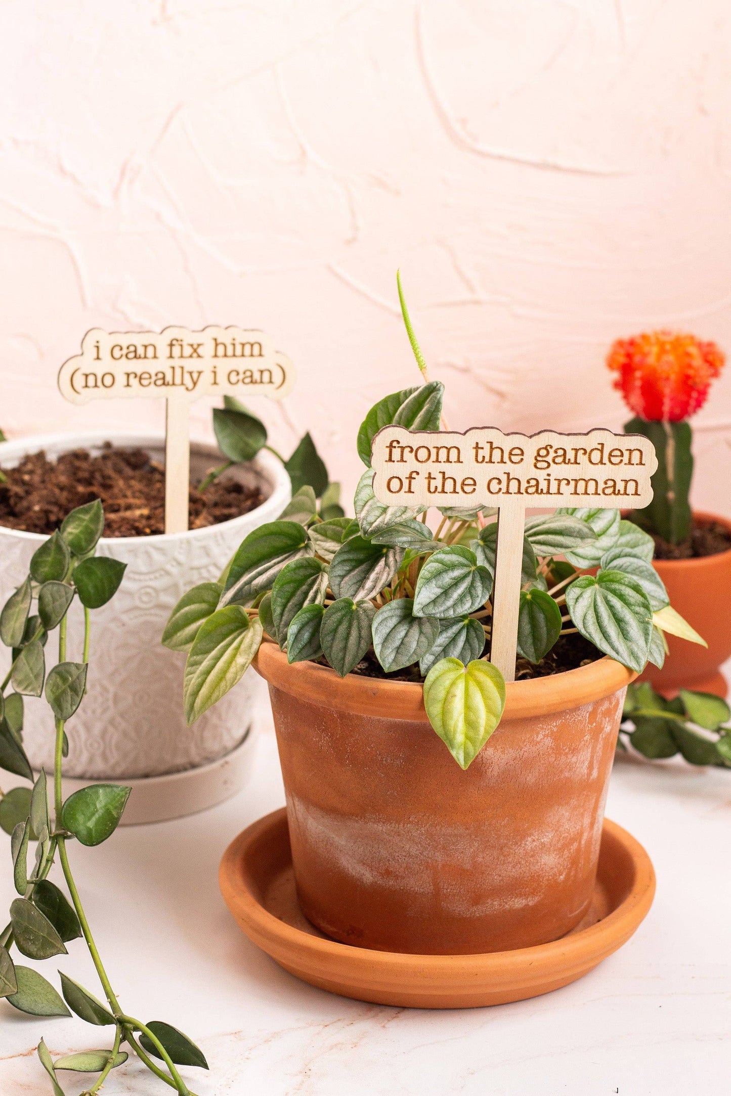 The Tortured Plants Department Plant Markers