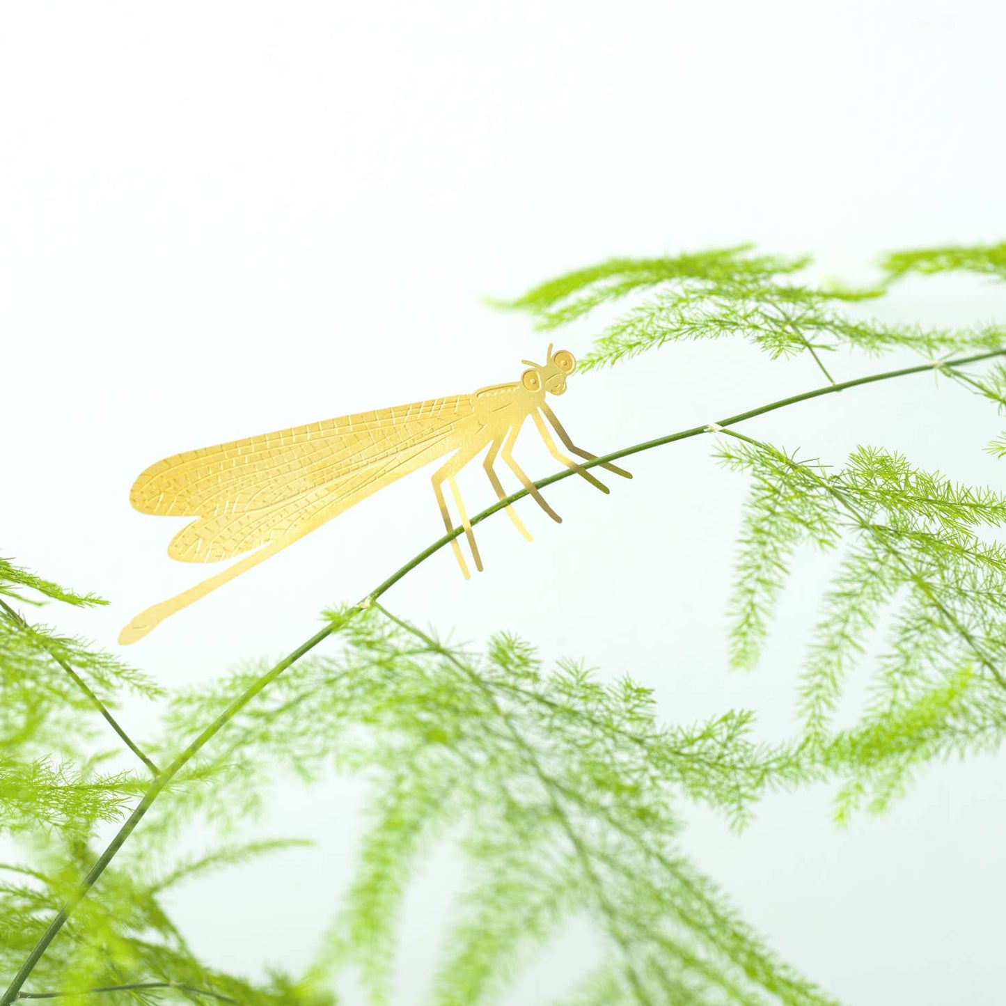 Plant Animal - Damselfly, insect plant accessory