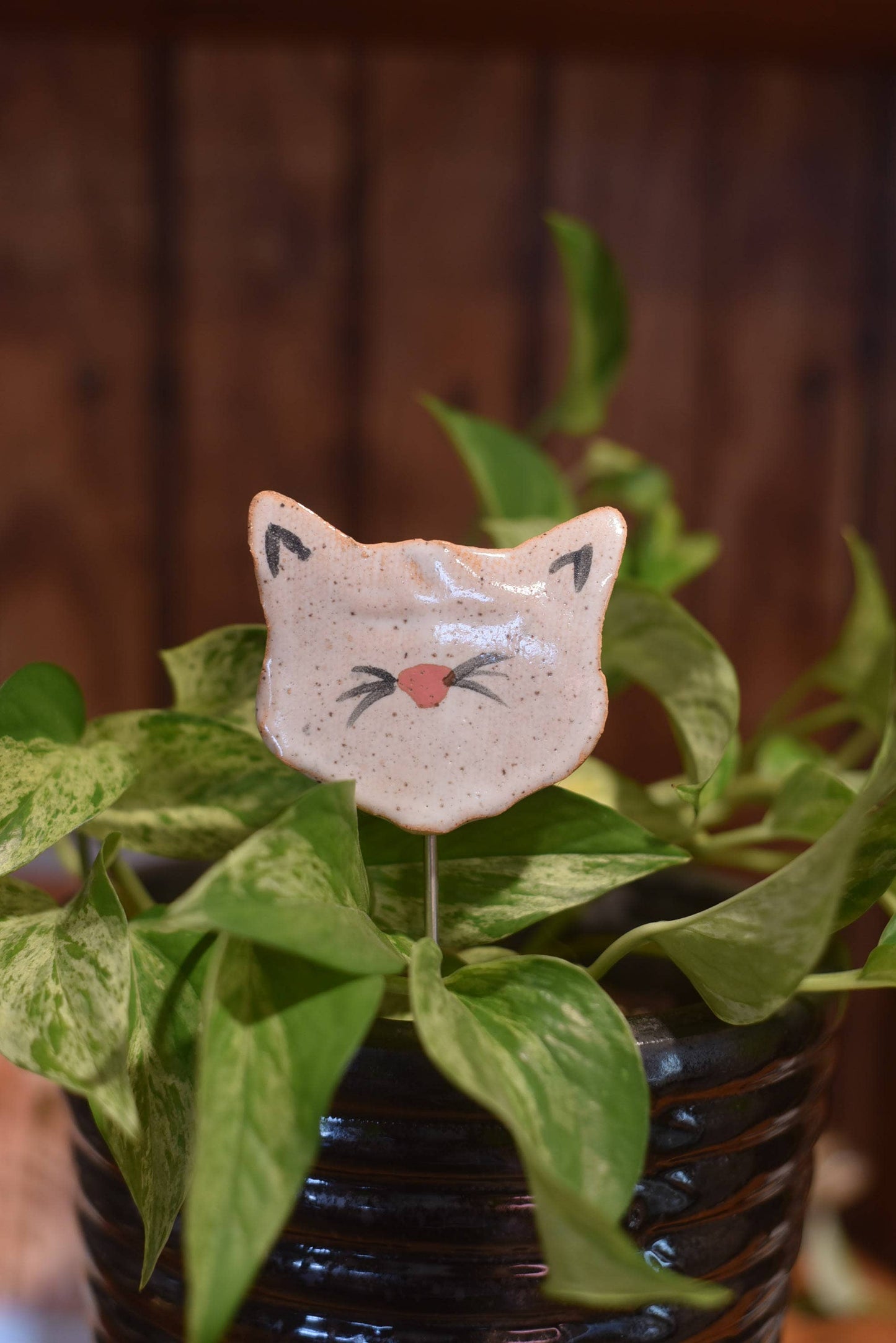 Plant Buddies - Cat / Kitten