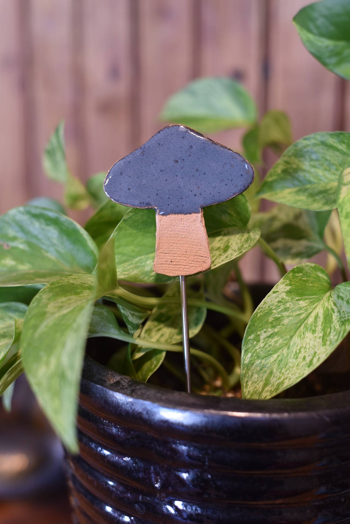 Plant Buddies - Mushroom