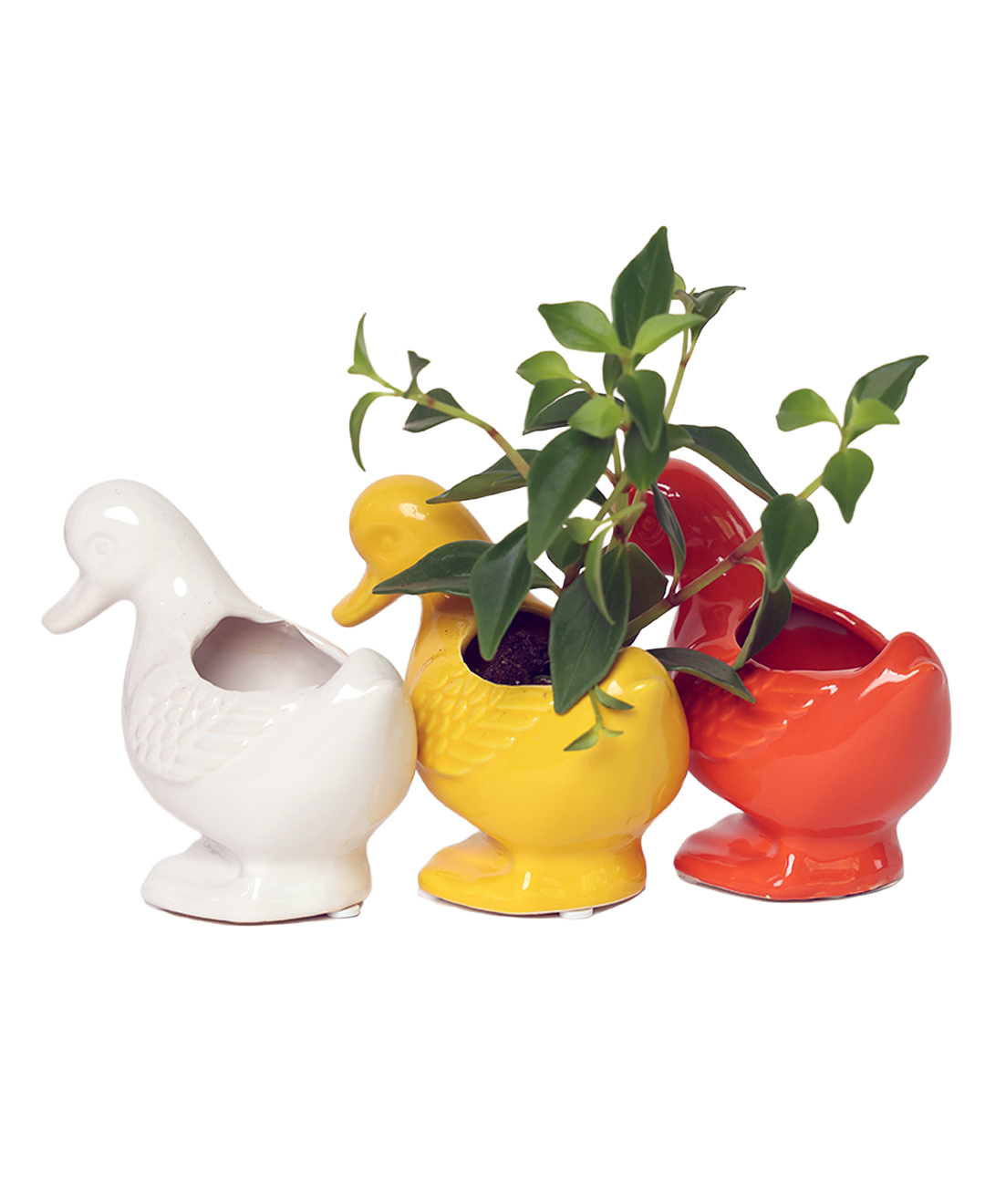Duck/Turtle Indoor Plant Pot for Succulents