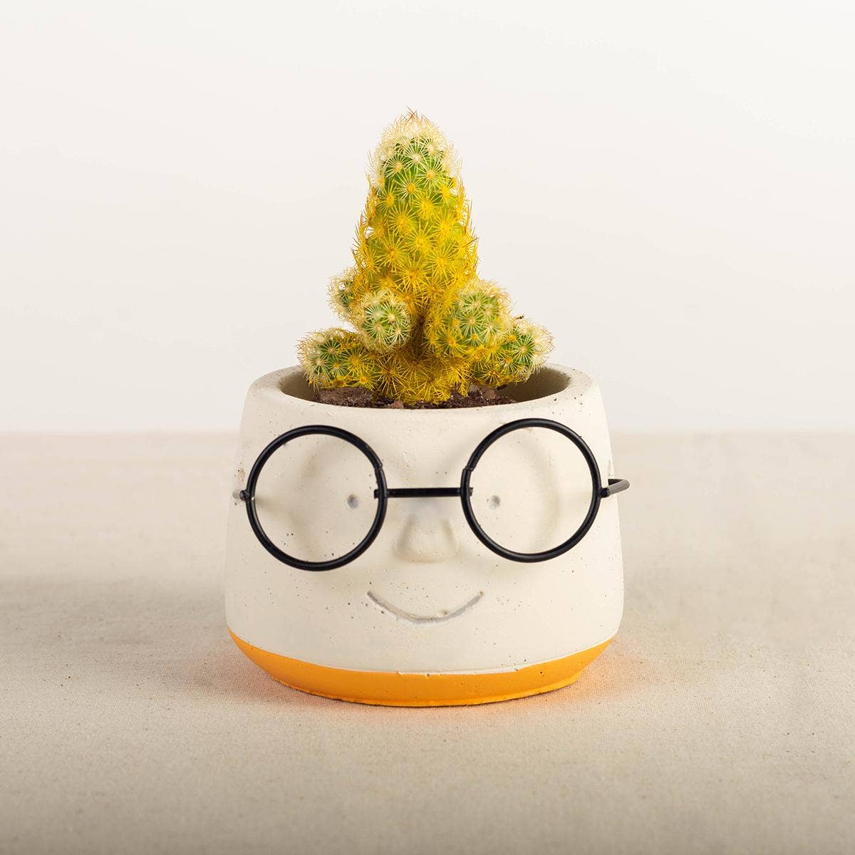 "Face With Glasses" Flower Pot, Small