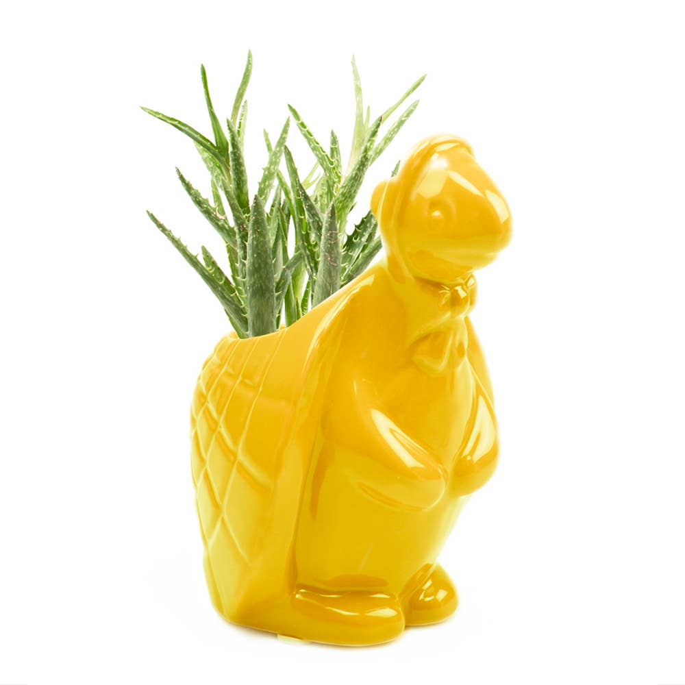 Duck/Turtle Indoor Plant Pot for Succulents