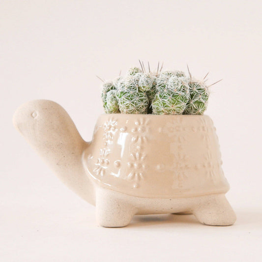 Turtle Planter | Sand