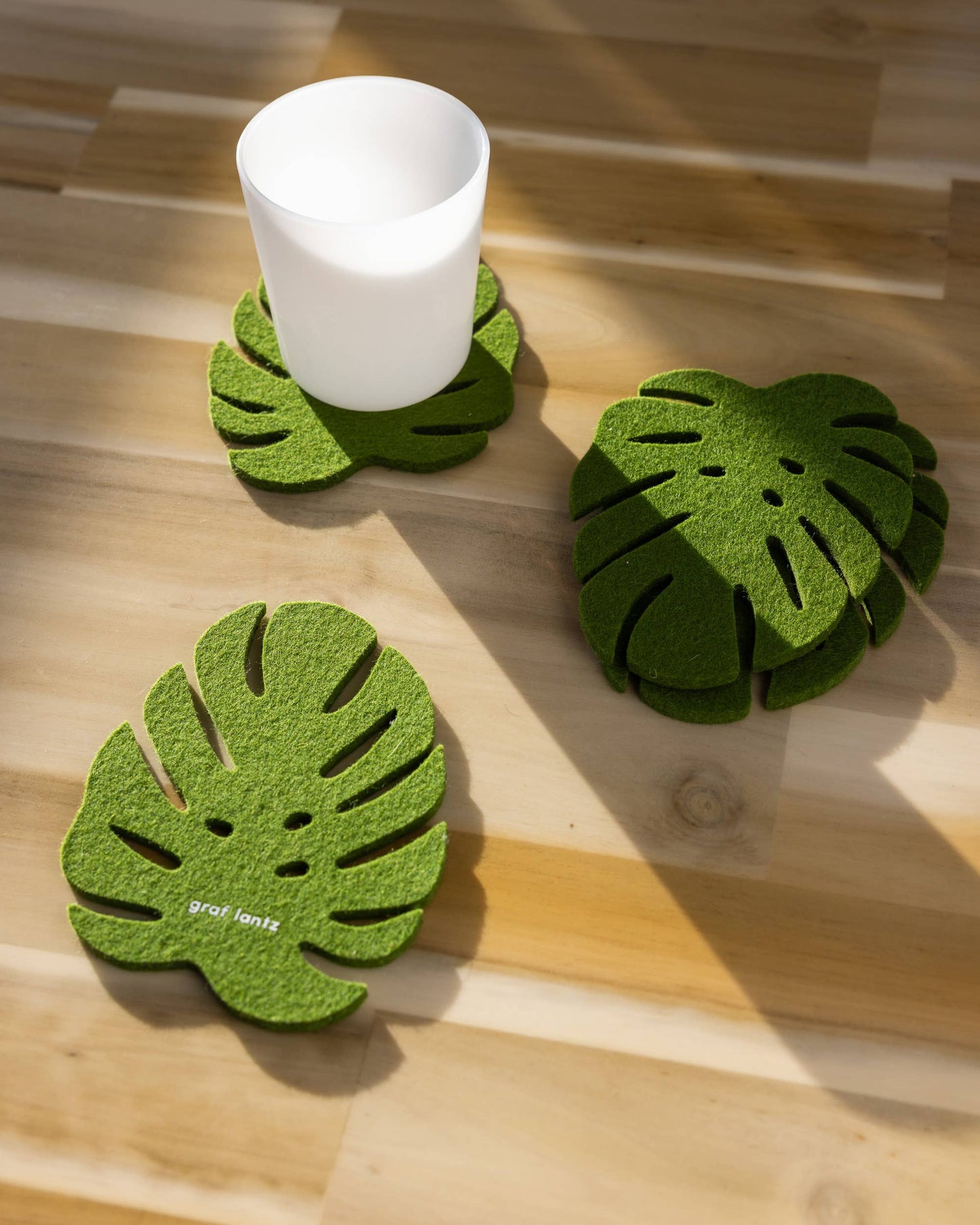 Merino Wool Monstera Coaster Set