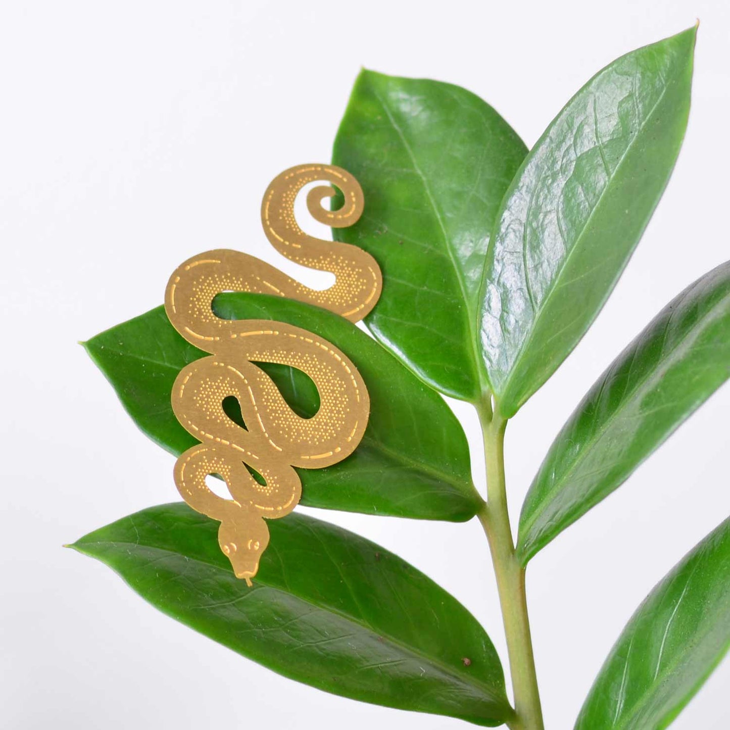 Plant Animal - Snake, botanical decor in brass