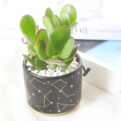 3" Celestial Pot - Succulent Planters For Small Spaces