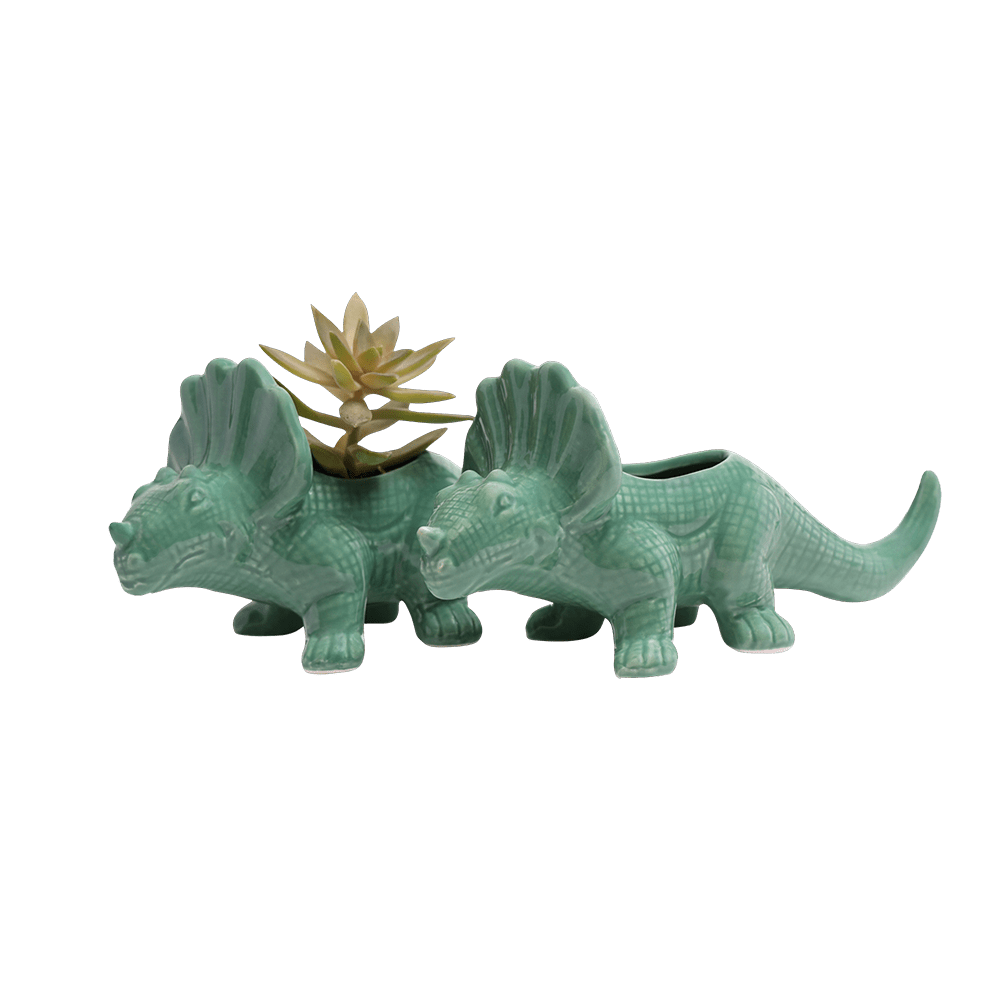 Dinosaur Ceramic Indoor Plant Pot Kits