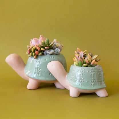 Turtle Planter | Lagoon