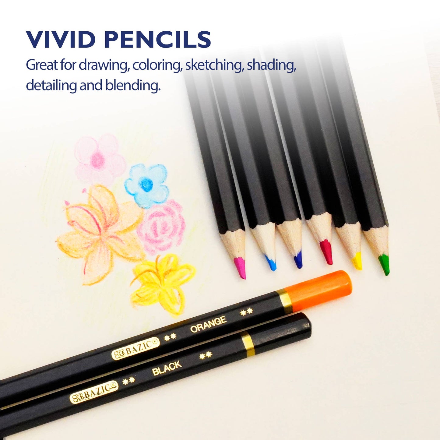 Color Pencil Designer Series (12/Pack)
