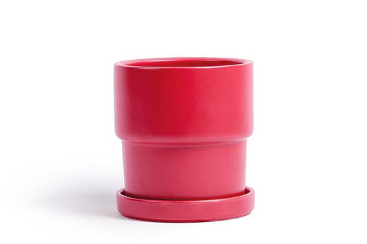 Watermelon 4.5" Calyx Pots