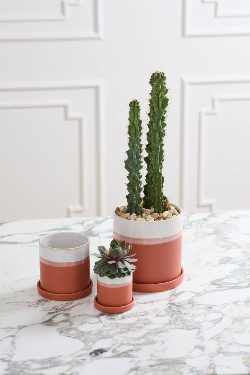 3" Dawn Pot