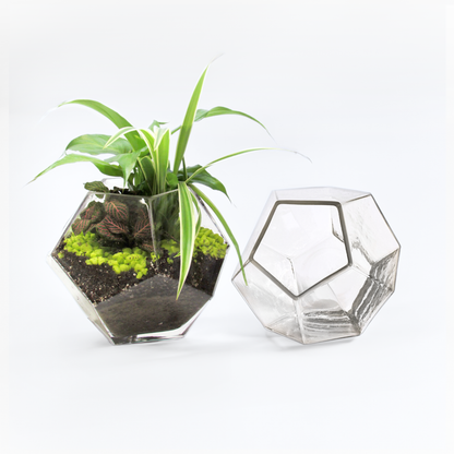 6.25"D Geometric Terrarium Bowl - Beckham Glass Vase