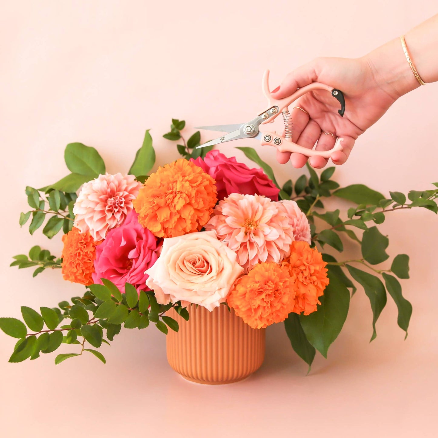 Lucy Planter | Ginger