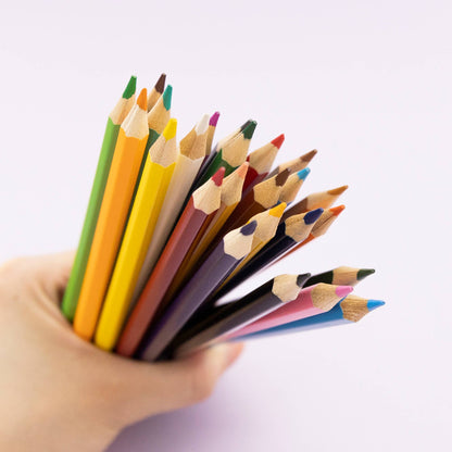 24 Colored Pencils