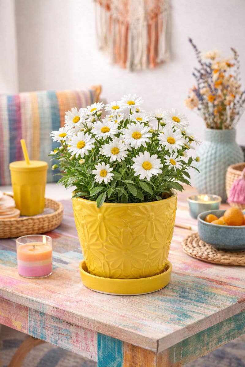 4.5" Yellow Embossed Daisy Planter Saucer   #17291
