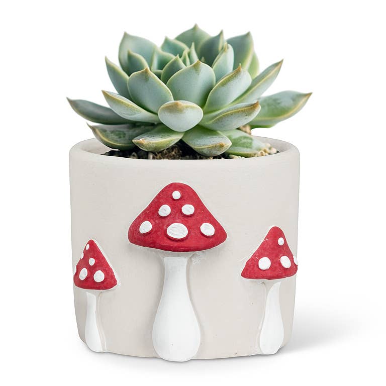 Dot Mushroom Planter-4"H