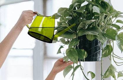 Slender Watering Can - 13"L