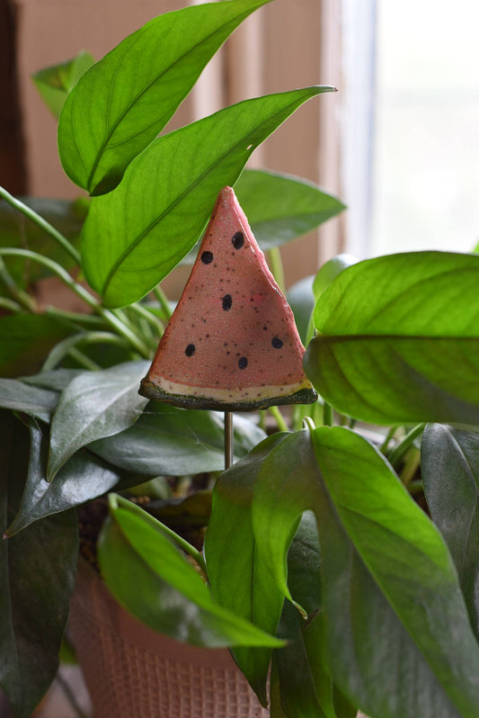 Plant Buddies - Watermelon