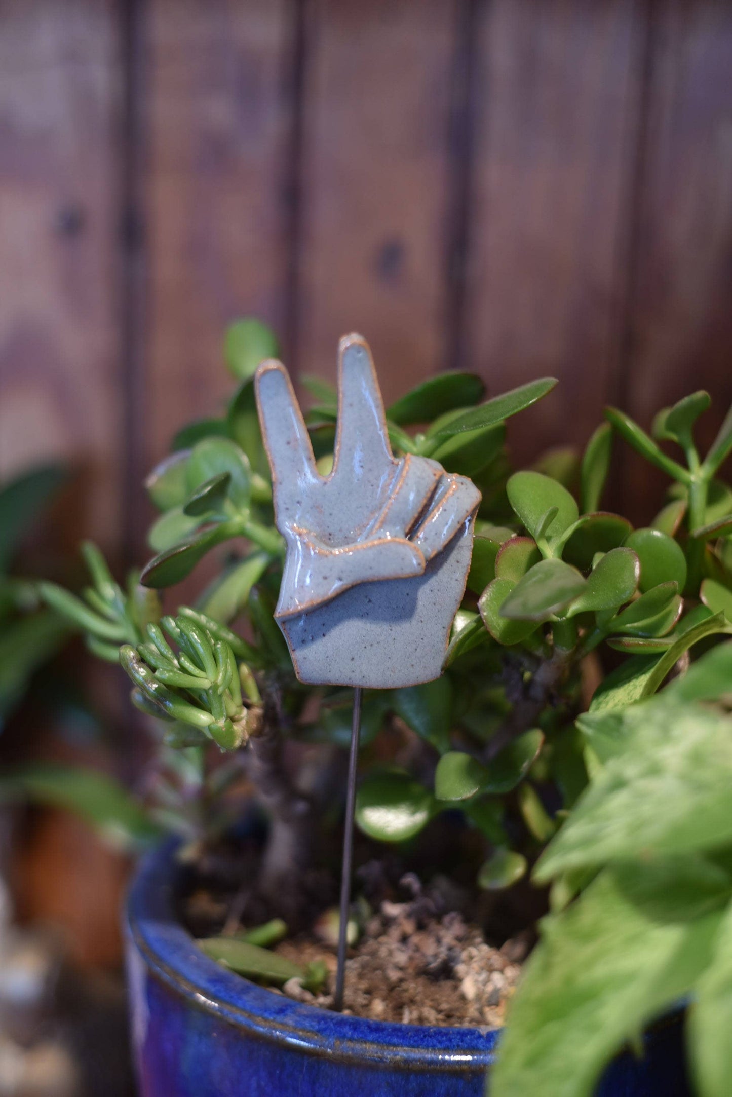 Plant Buddies - Peace Hands